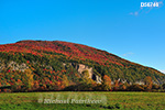 Fall colours, Cap Tourmente, Quebec, Canada